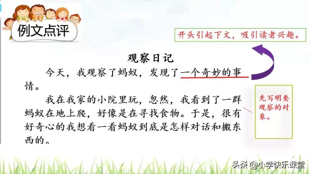 四年级语文第三单元观察日记作文,四年级观察日记400字优秀作文植物