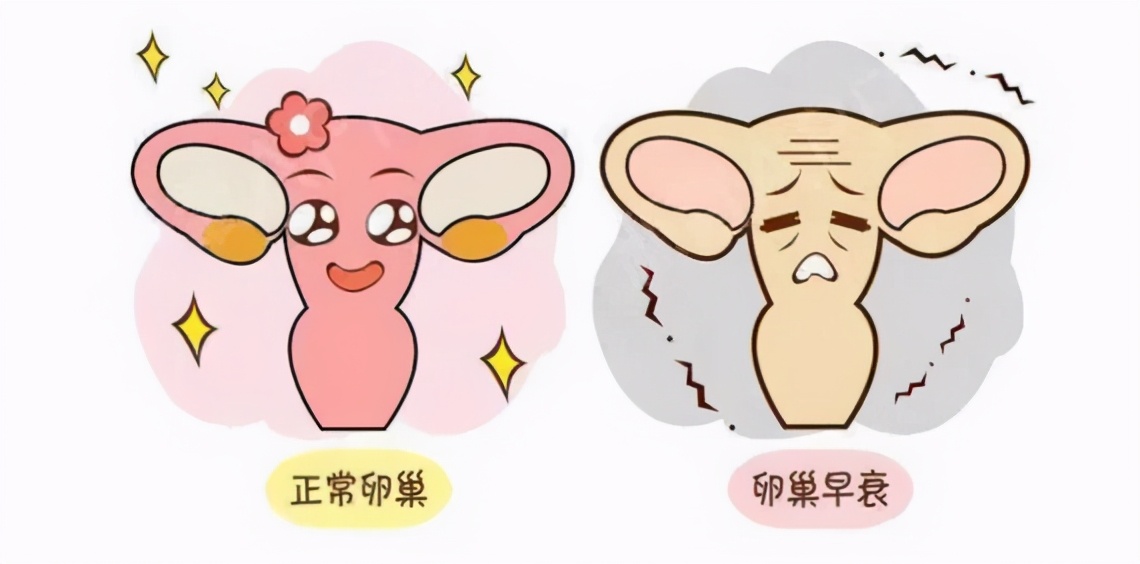 南昌华儿山科普：卵泡正常发育，可就是不排卵，这是为什么？