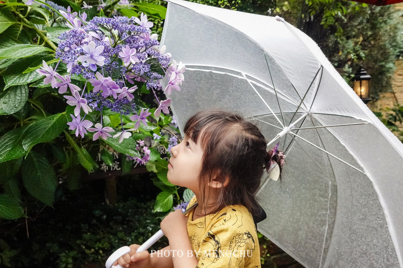 日本由布院温泉介绍,日本温泉胜地别府