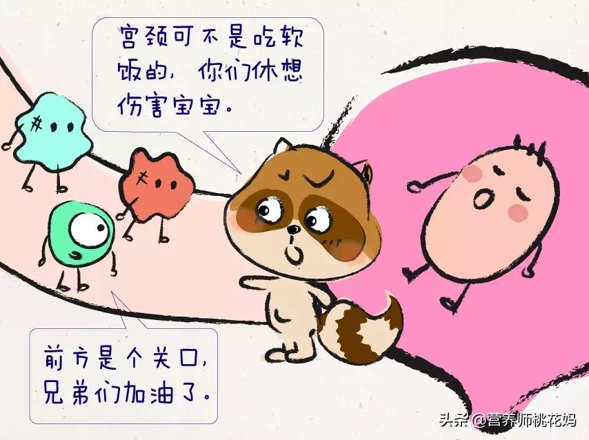 女性的生育系统是怎么做的,女性生育系统解析