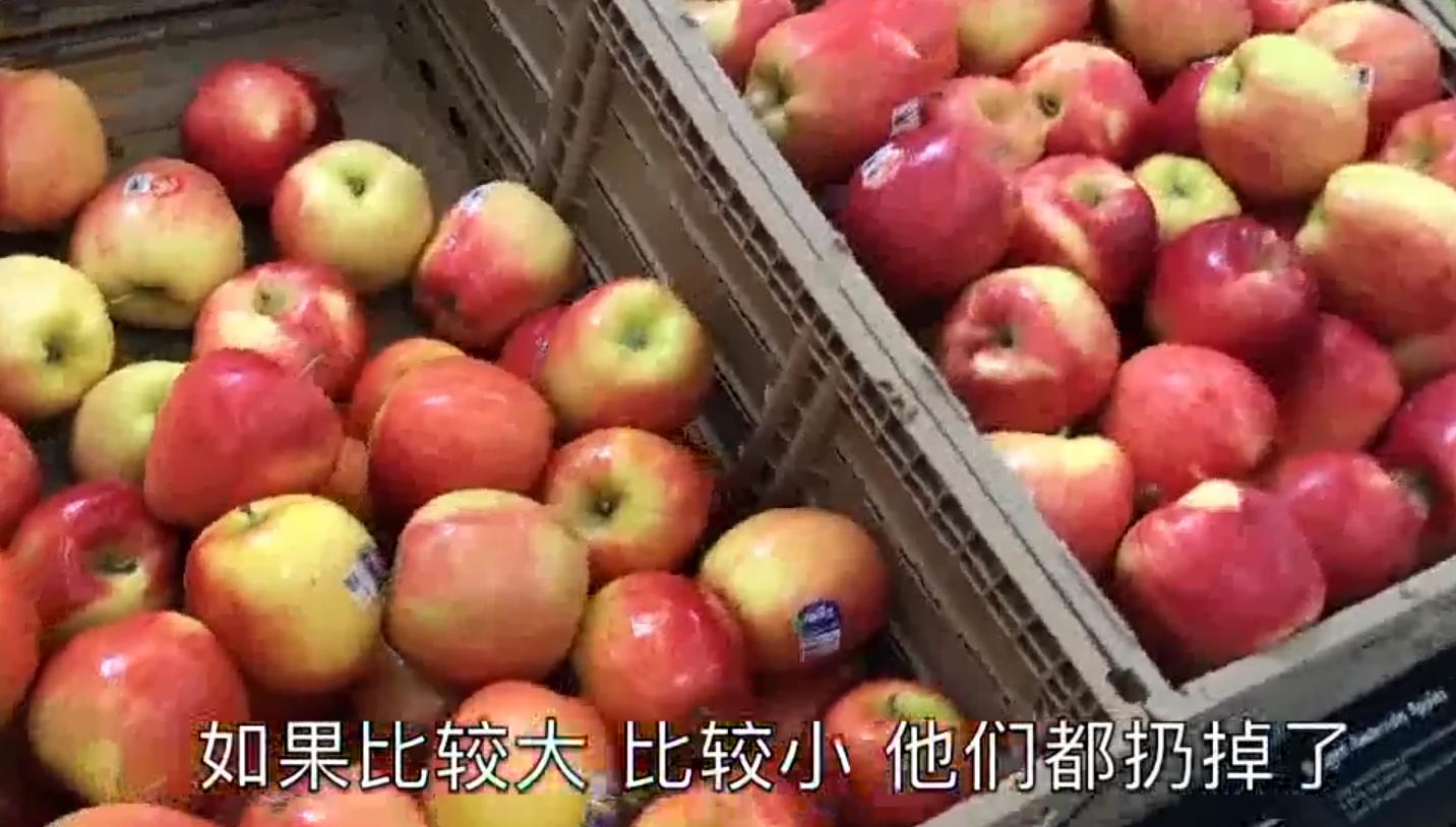 美国浪费与节约,美国有勤俭节约的意识吗