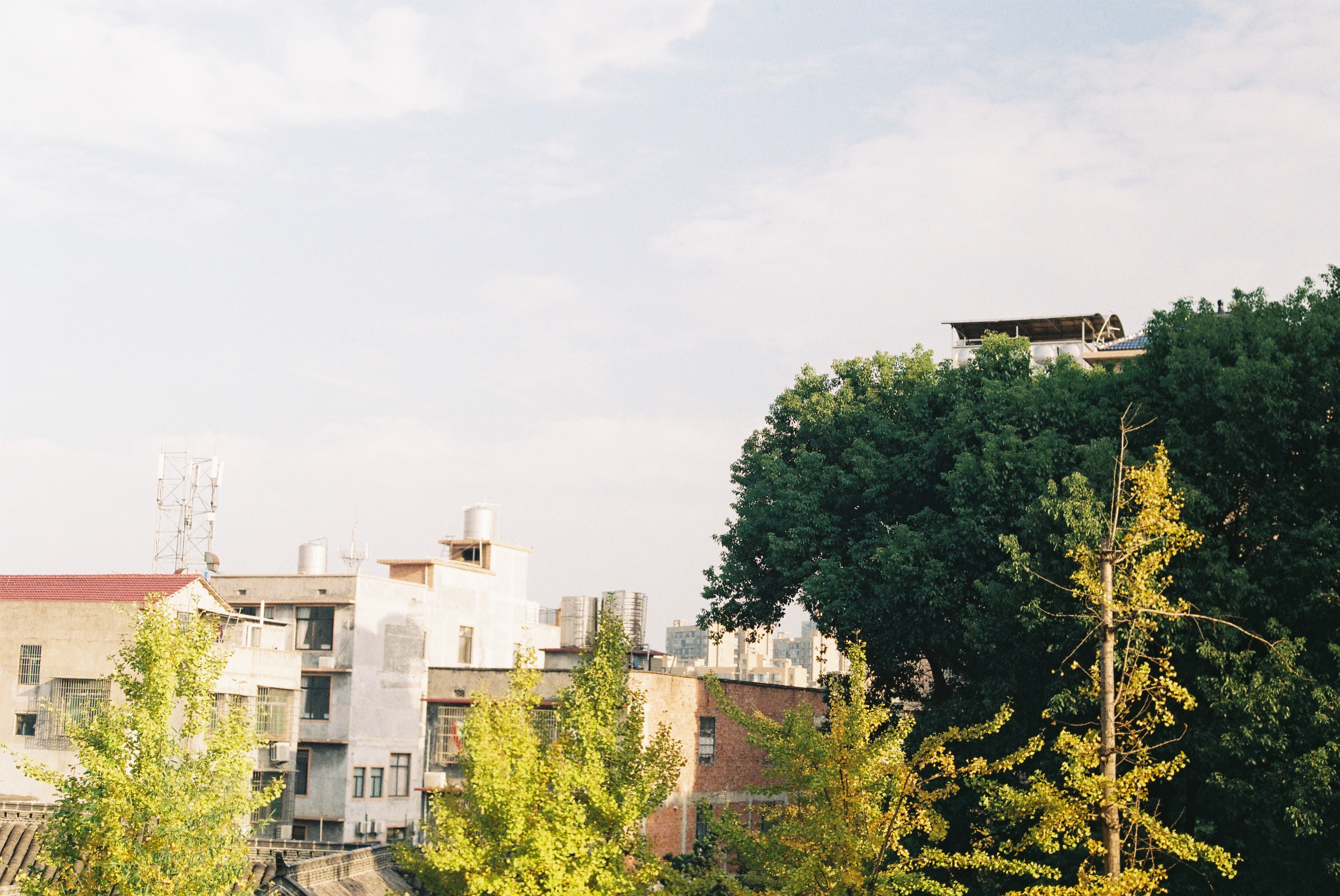 第一次拍了胶片怎么冲洗,坚持胶片拍摄的感受