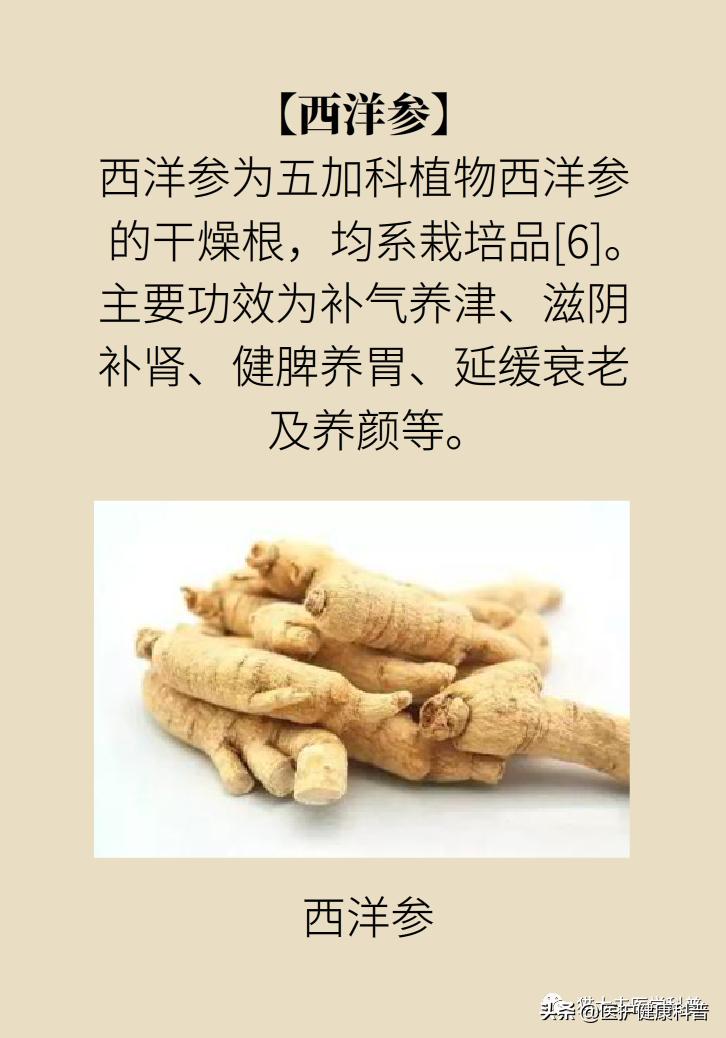 人参红参西洋参哪个提高免疫力好,人参党参红参西洋参有什么区别