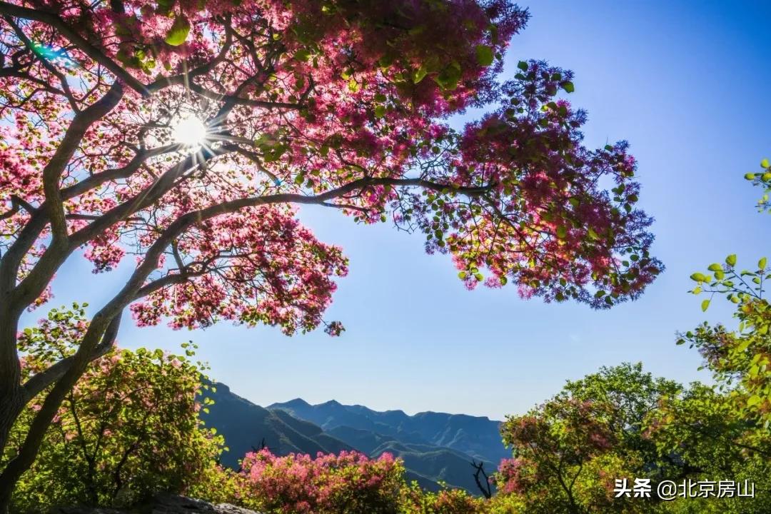 拥抱大自然享受仙境,五一房山旅游攻略推荐