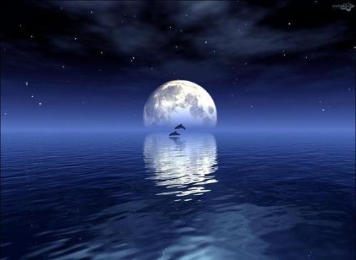 背诵古诗中秋节诗句,中秋为主题中华经典古诗词