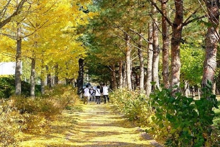 韩国庆州特色旅游景点,韩国庆州旅游攻略