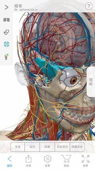 2020人体解剖学图谱用法,2023人体解剖学图集如何使用