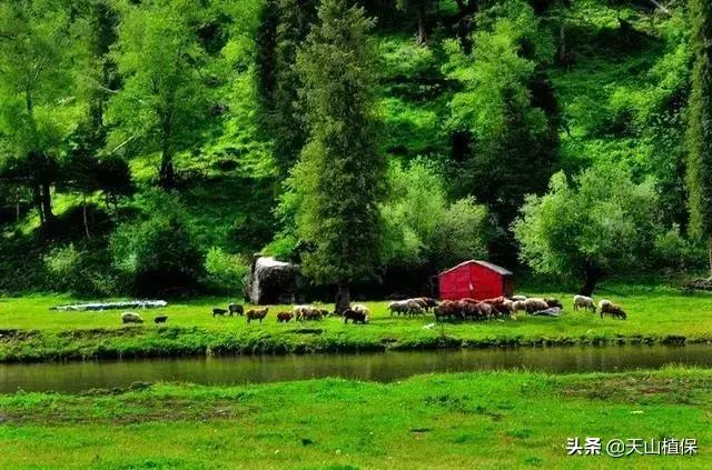 大美新疆百里画廊,北疆千里画廊打卡点