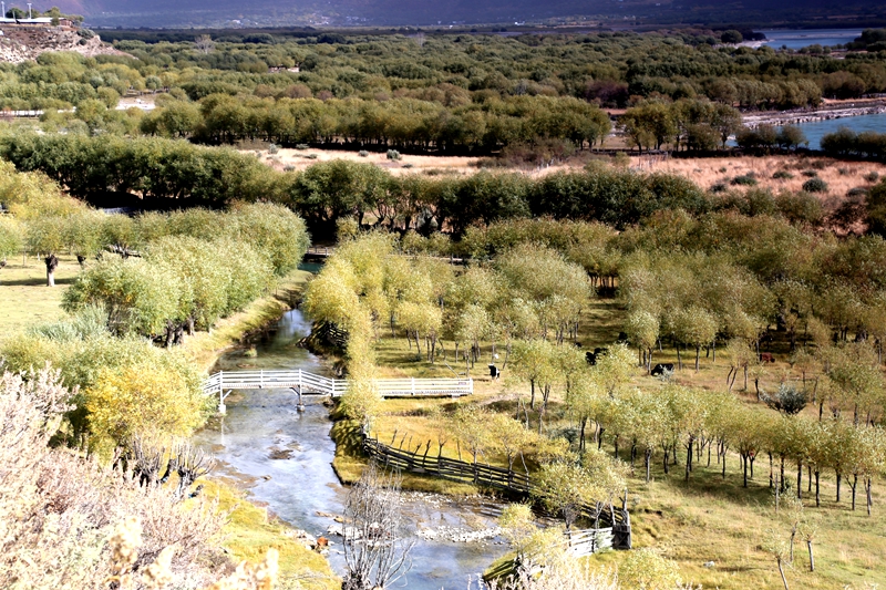 西藏珠峰四天旅游攻略,西藏珠峰四日游最美