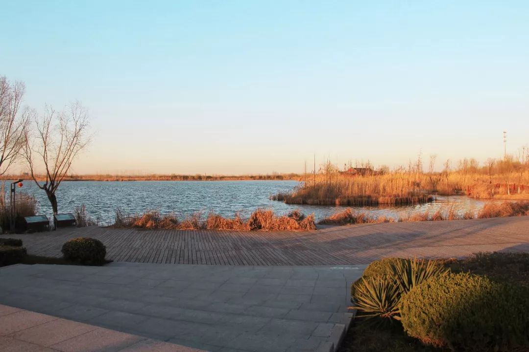 徐州最有名的富人区,徐州升值最快的区