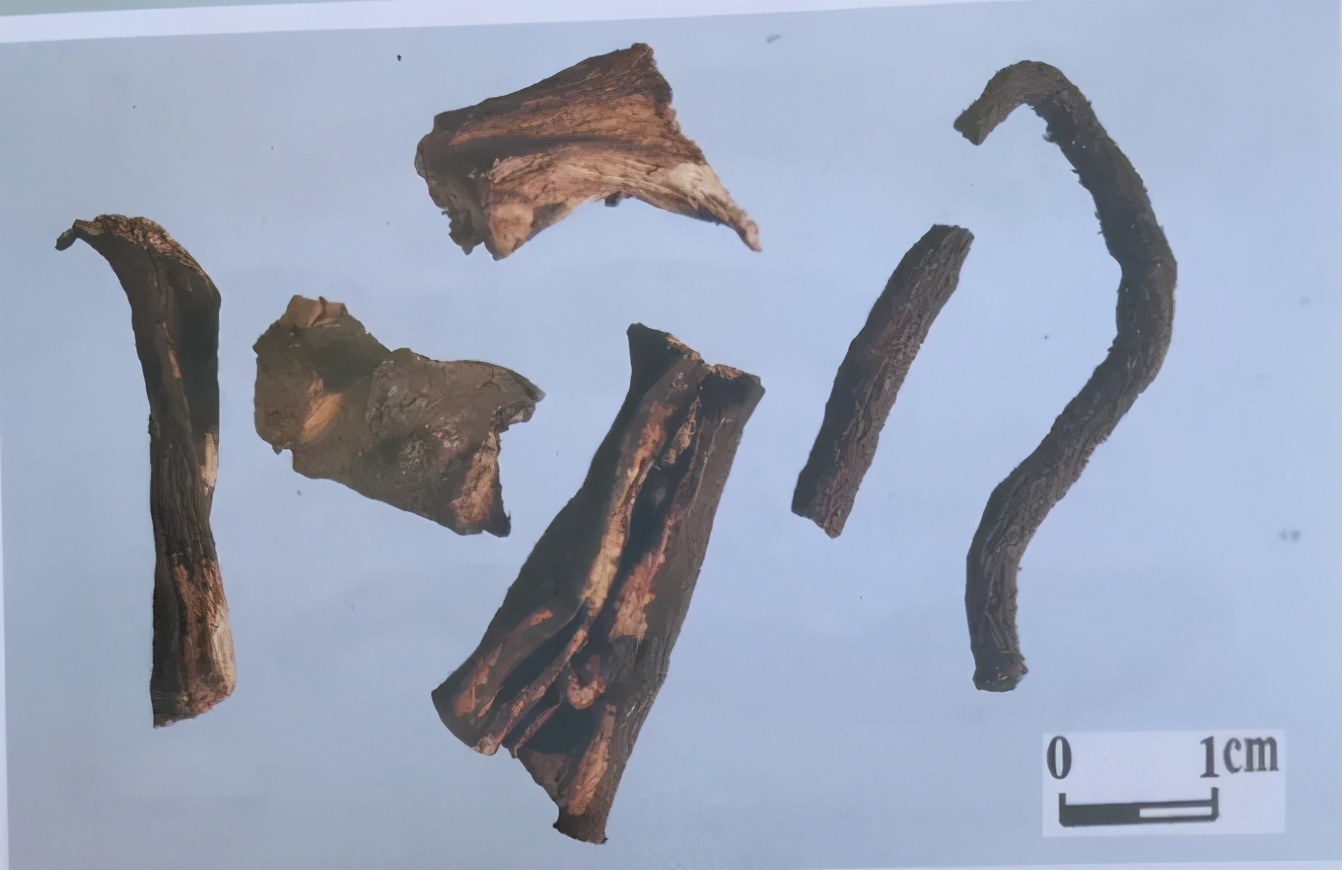 紫草中含哪些有效成分,紫草膏的紫草是什么样子