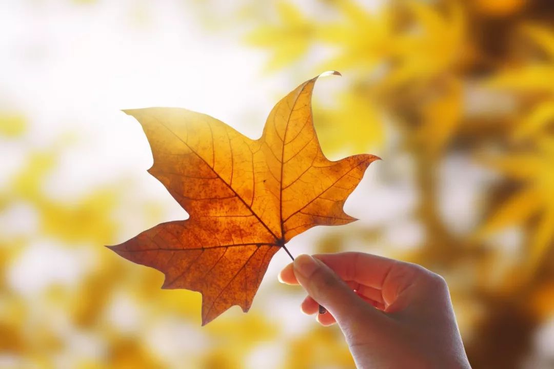 腹有诗书气自华精选200个千古名句,腹有诗书气自华200句值得背诵