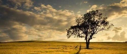 为什么人类的毛发无限长,为什么人类那么奇怪