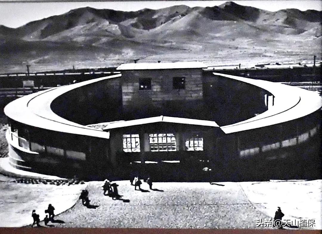 上榜啦！*疆新**鸟市和石市即将被国家命名！未来发展不可估量