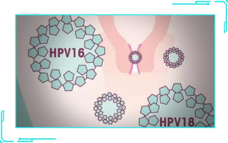 免疫力下降中成药,妇科免疫力下降中药能调理吗