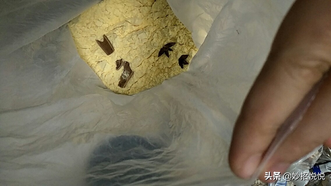 五谷杂粮放冰箱冷藏里还会生虫吗,五谷桶里放什么不易生虫