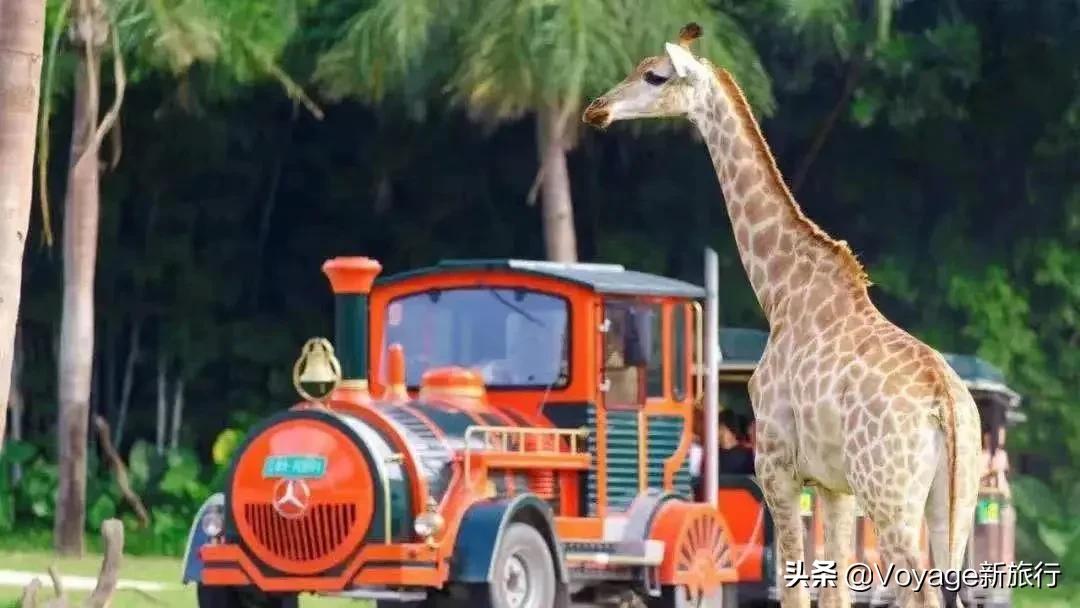 2021年的游乐园，你是期待悬崖边上的跷跷板还是一整年的生日趴？