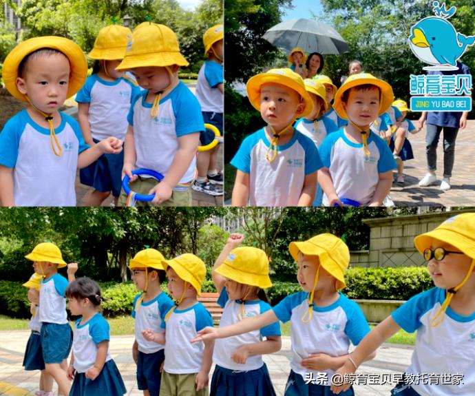 早教班带什么兴趣班好,宝宝有必要报早教班和兴趣班