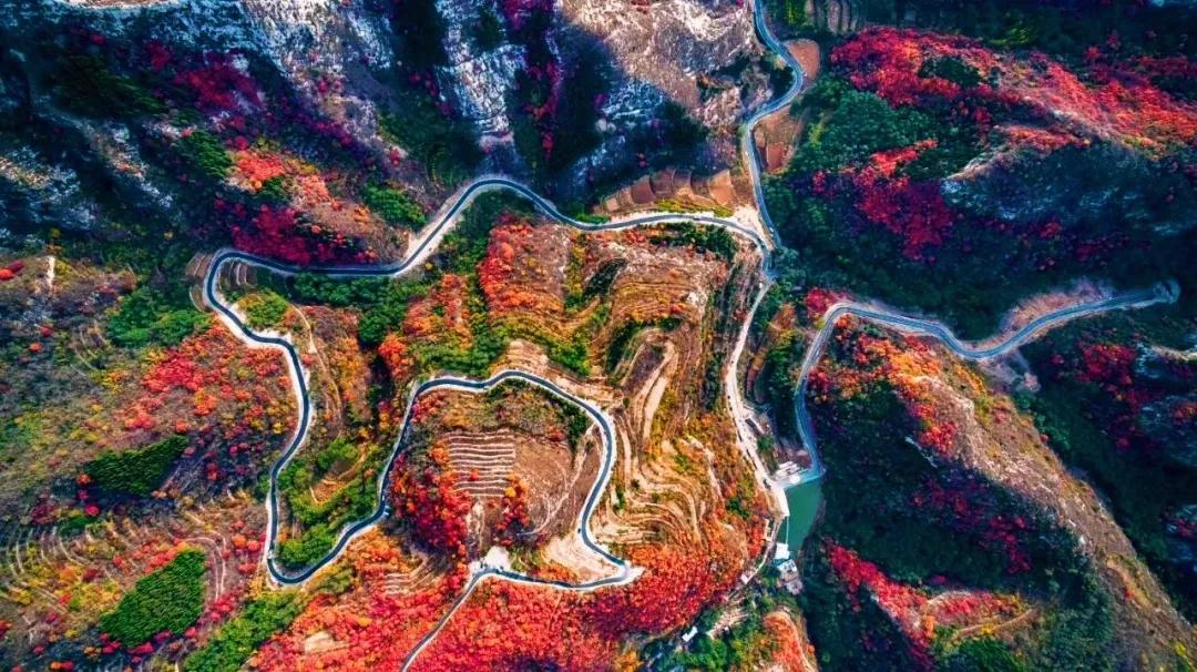 打造地方特色文旅项目,重磅打造的文旅项目