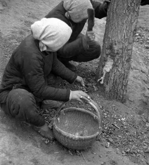当人饿极了身体发生的变化,当人吃饱了就会变笨变蠢