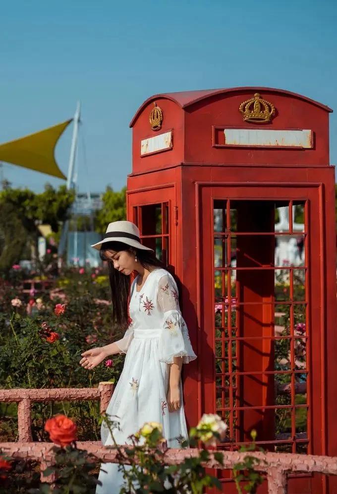 南沙葵园花海景区,广州南沙万顷葵园最佳旅游时间