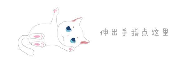 猫咪不爱喝水用什么办法解决,主人担心猫咪太胖不健康