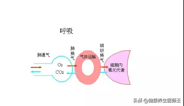 呼吸衰竭临终痛苦吗,i型呼吸衰竭的意思