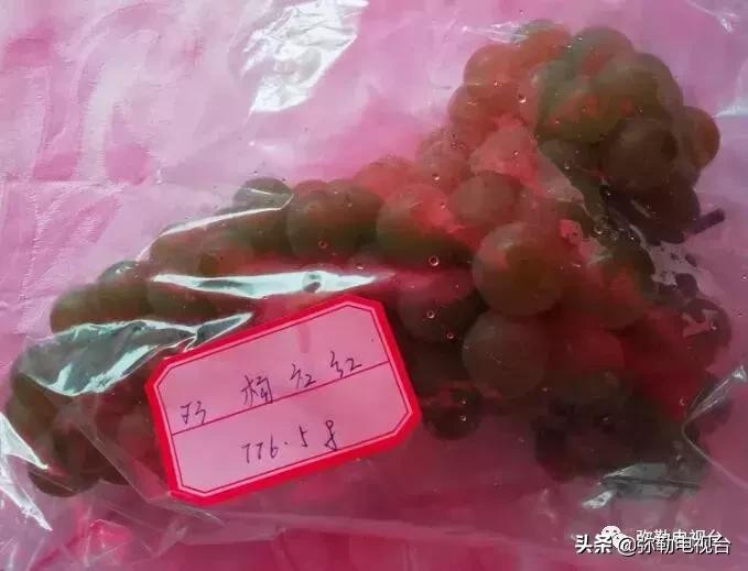 弥勒葡萄价格,弥勒葡萄卖5元一颗