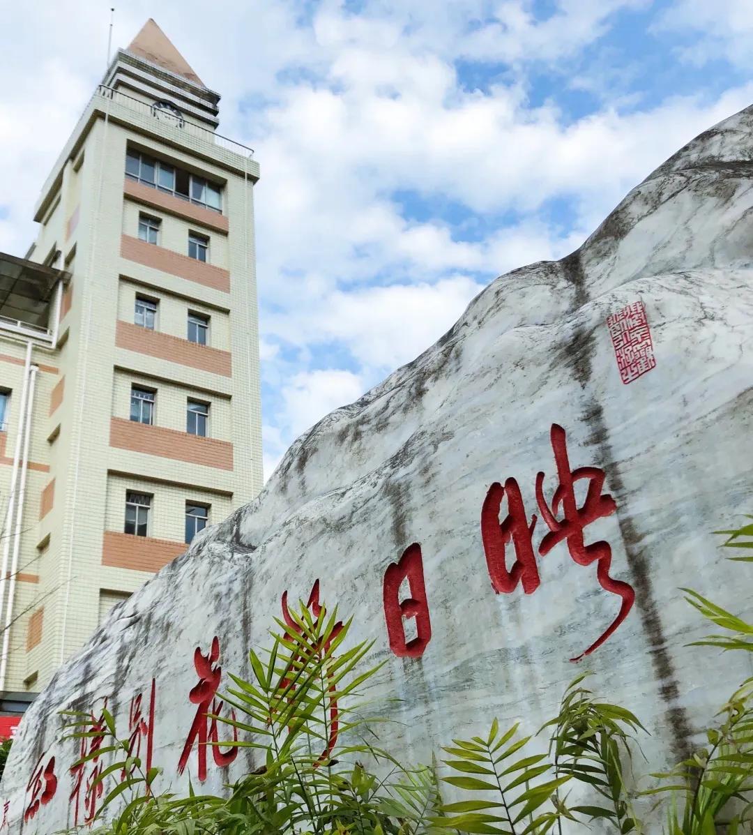 婕閲嶅簡瑙嗛,婕閲嶅簡