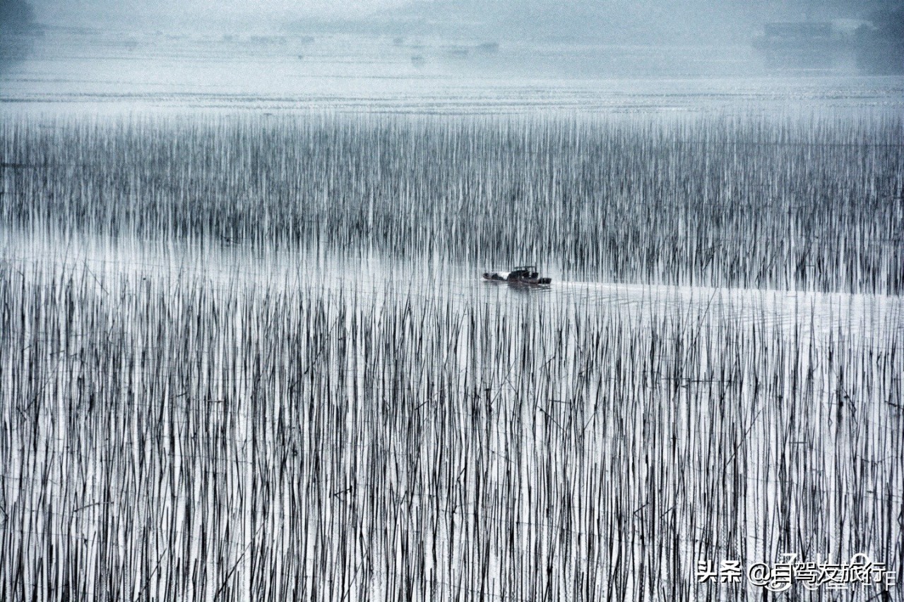 8月最佳旅行地推荐自驾游,4-5月份最佳的自驾短途旅行