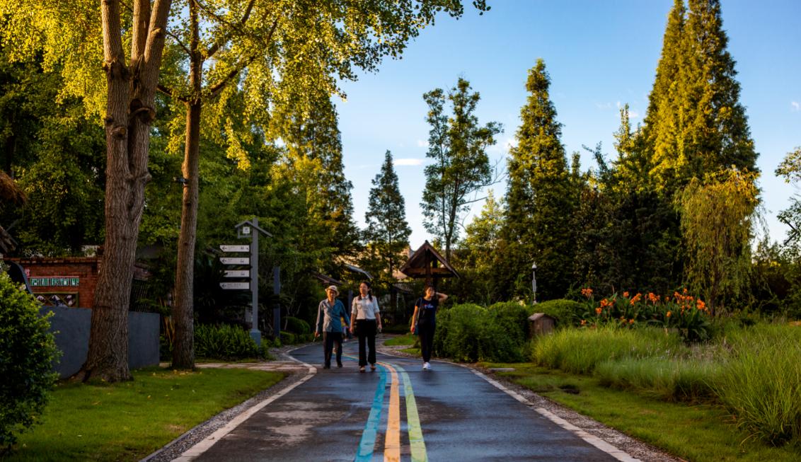 成都市美丽乡村游,留在家乡四川