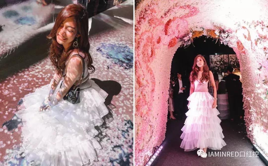 去日本看樱花什么日期好,不能去日本参观的地方