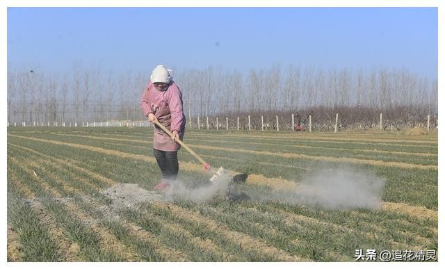 养蜂用草帘什么好处,养蜂人必备工具和技巧有哪些