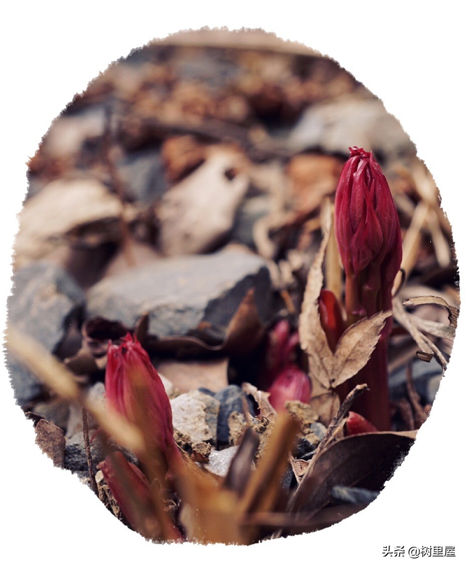 #福西探店#002——苏州本色美术馆