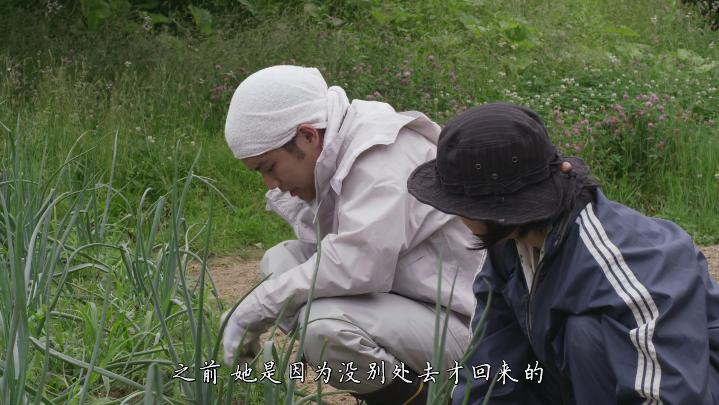 美食电影小森林,美食治愈日剧小森林