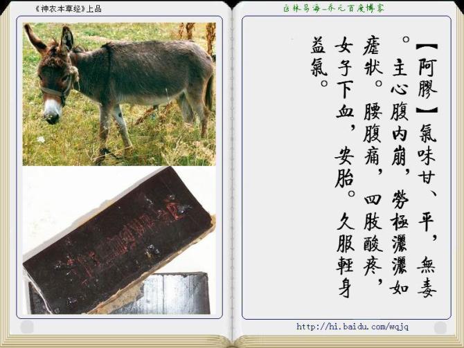 本草纲目中药讲解视频,本草纲目中药图谱及药理讲解