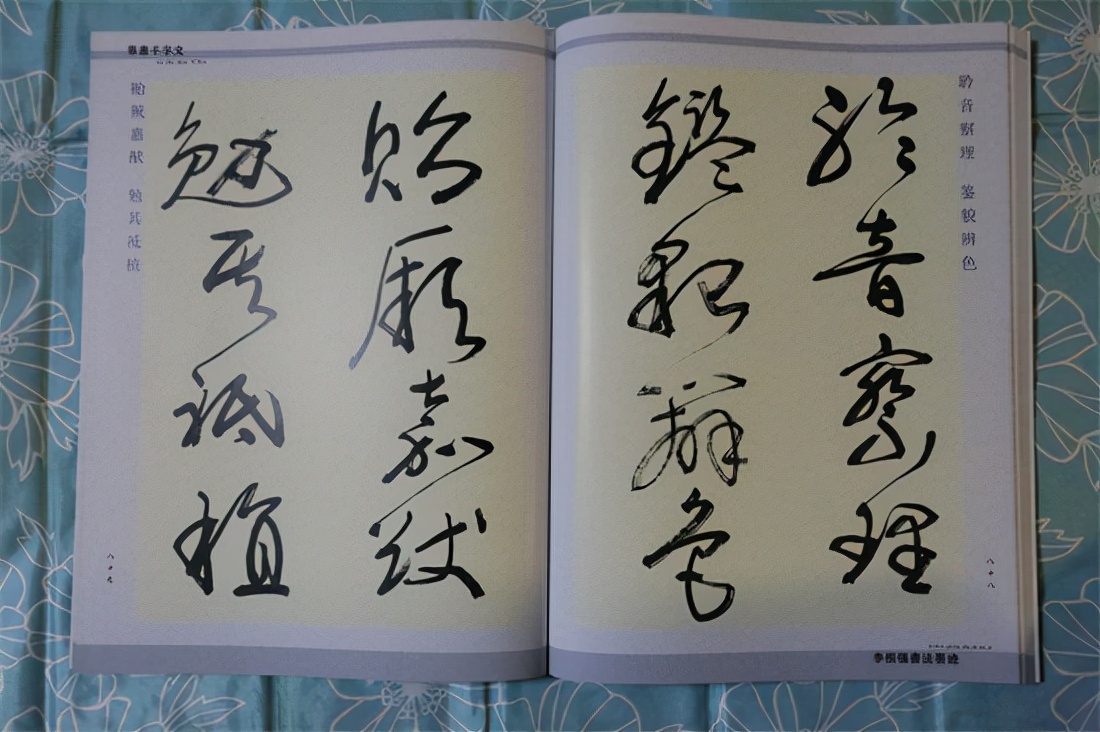 草书千字文真迹,书法千字文作品欣赏启功先生