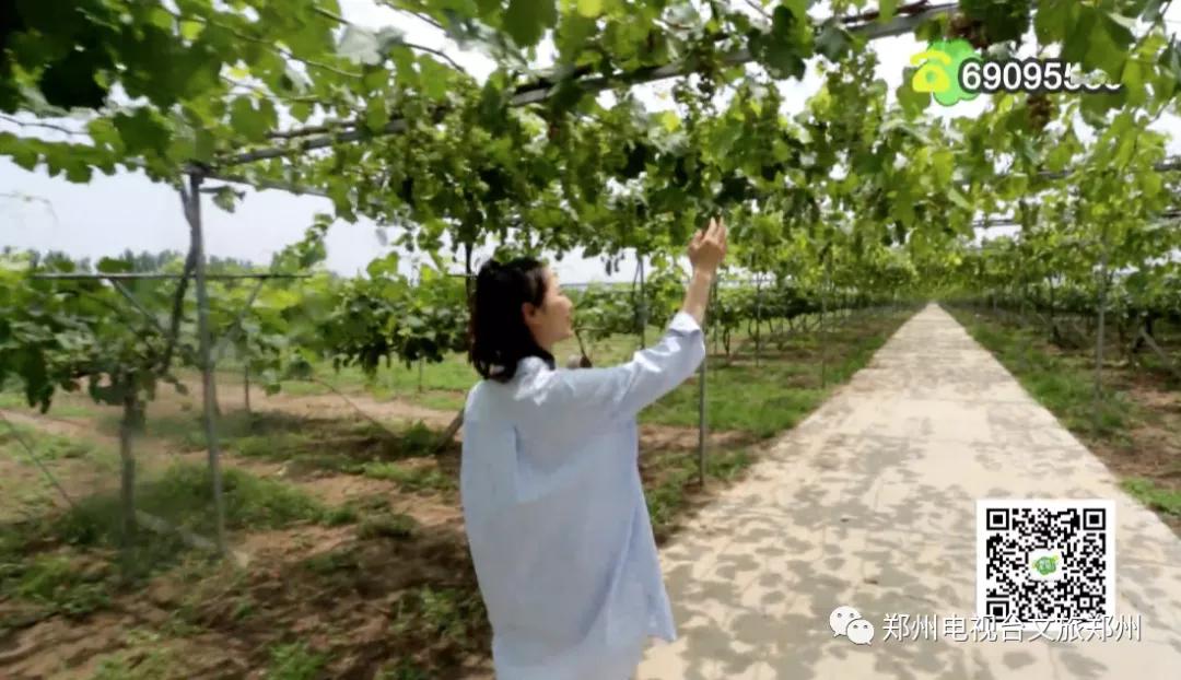 说郑州话,郑州大美惠济区