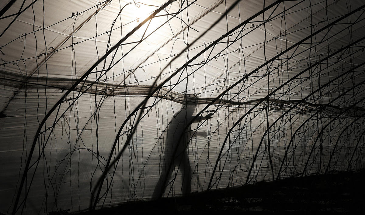 5年抑郁症现在治疗来得及么,抑郁症5年了重度还能治好吗