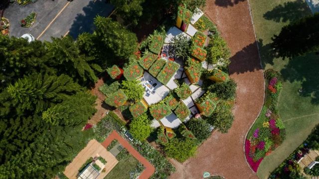 深圳史上最大最美的花展来啦,走进深圳仙湖植物园的国际花展