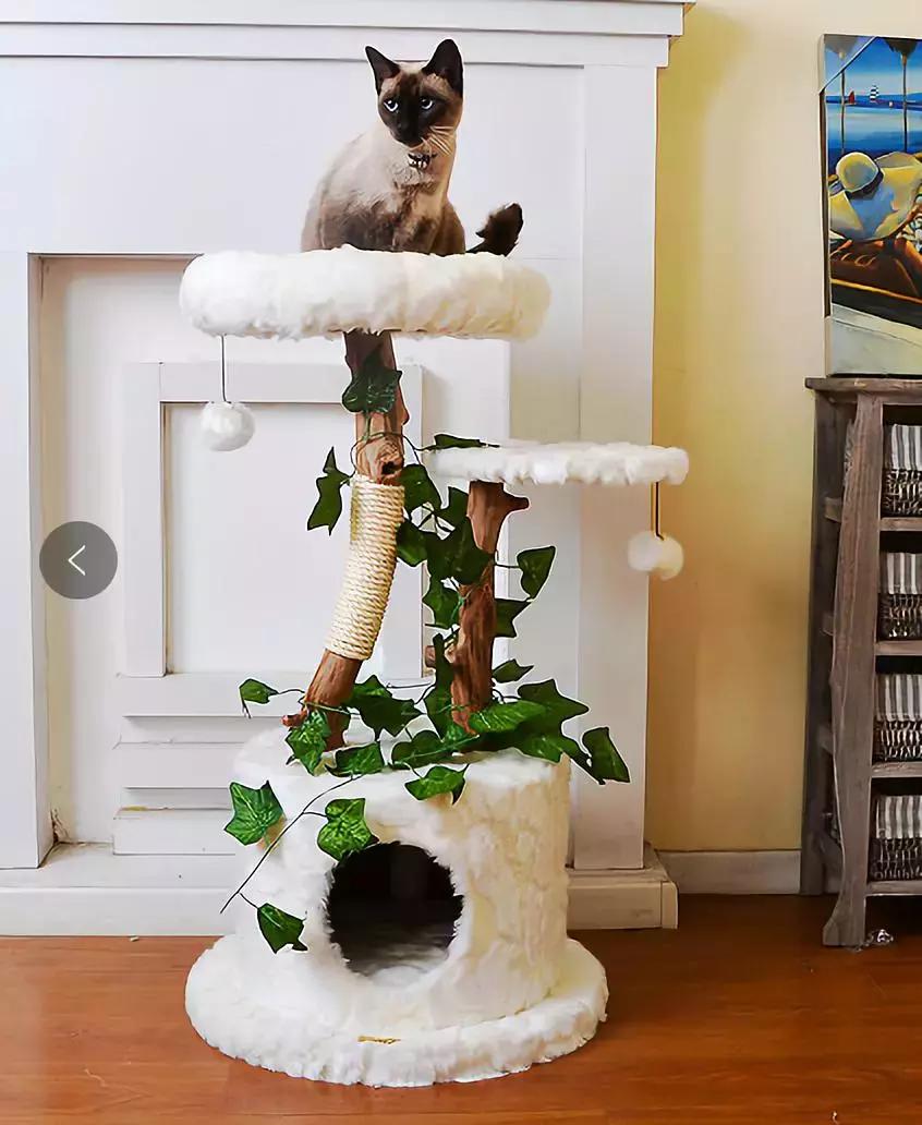 发育宝和卫仕狗粮哪个好,发育宝元气优食狗粮怎么样