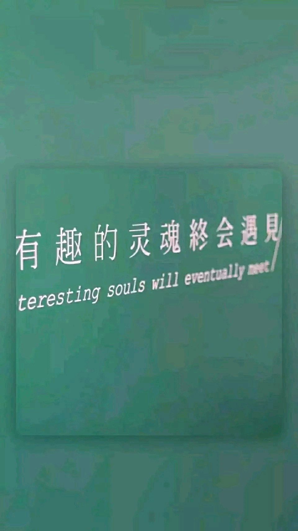 鱼跃龙门壁纸绿色背景图,微信壁纸背景图纯绿色