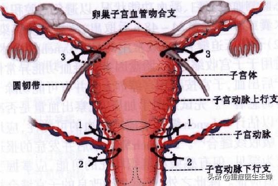 生孩子去大医院还是就近原则,生小孩应该在大医院还是小医院
