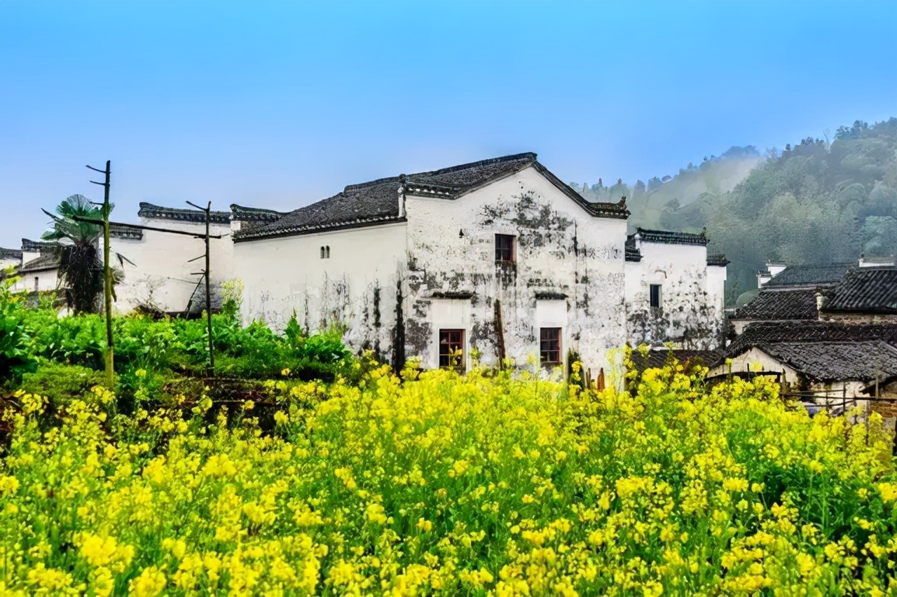 赵普朗诵视频完整版,央视主持人赵普经典演讲