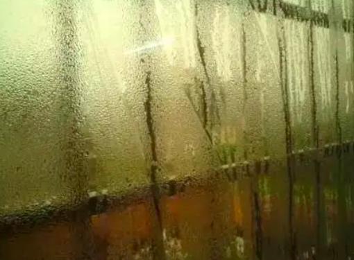 香港人怎么祛湿,香港潮湿喝什么除湿