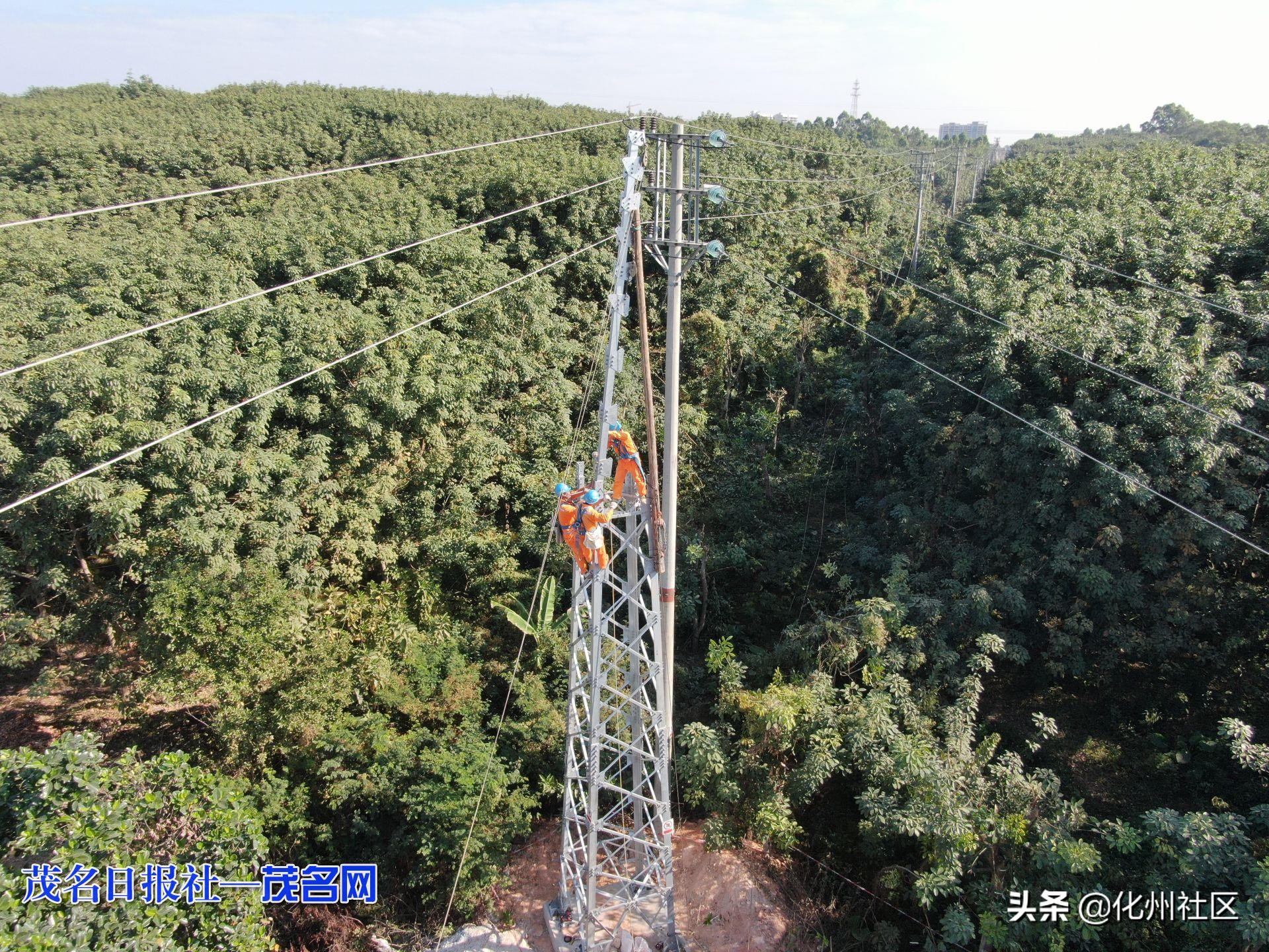 化州供电局：笪桥镇再添输电“大动脉”10千伏山华线顺利投运