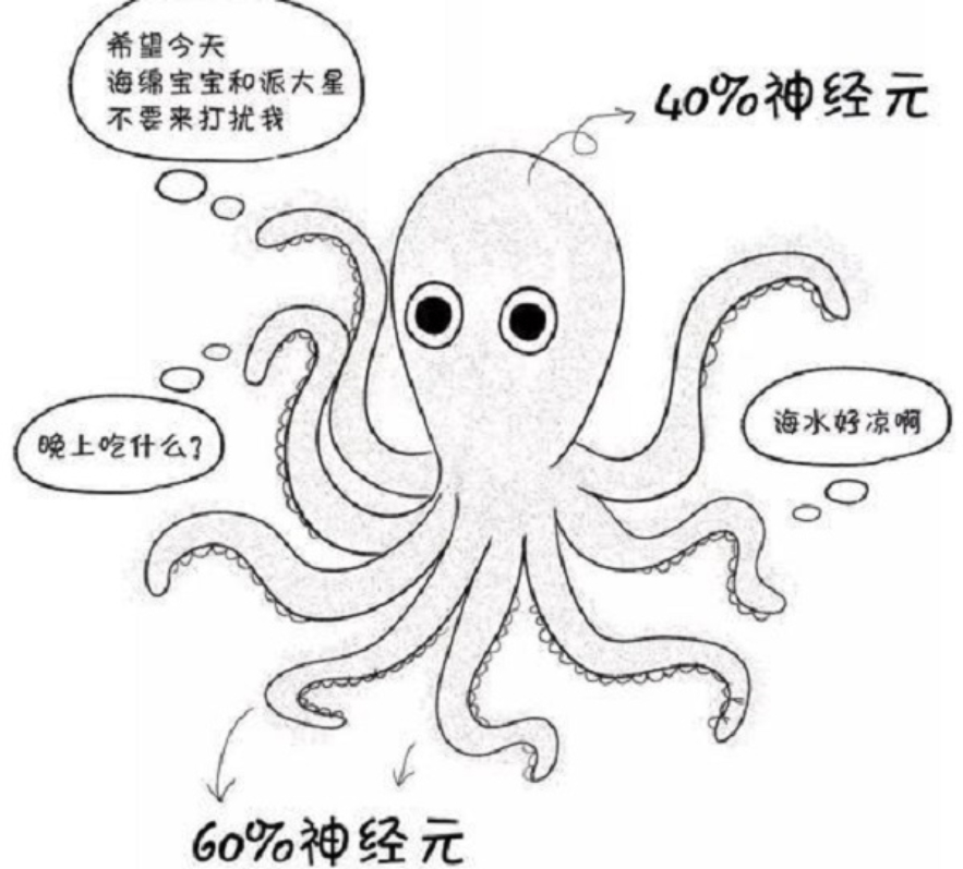 章鱼智商相当于人类几岁智商,北太平洋巨型章鱼的智商