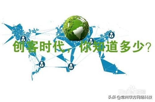 生意经小成本创业项目,王岑低成本创业生意经