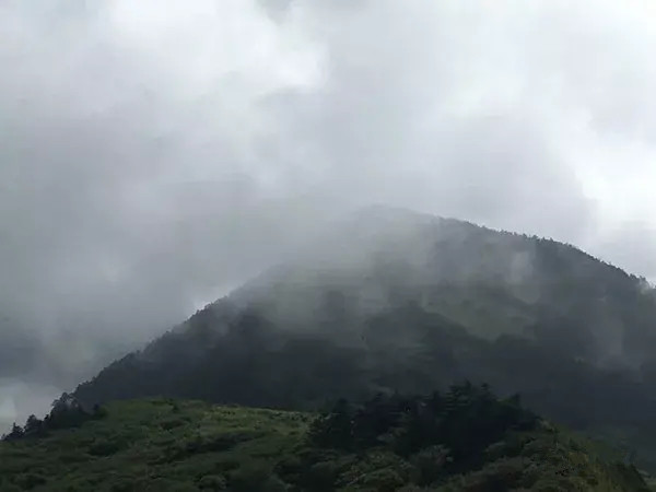 神农架大九湖最美雪景,神农架神农顶大九湖