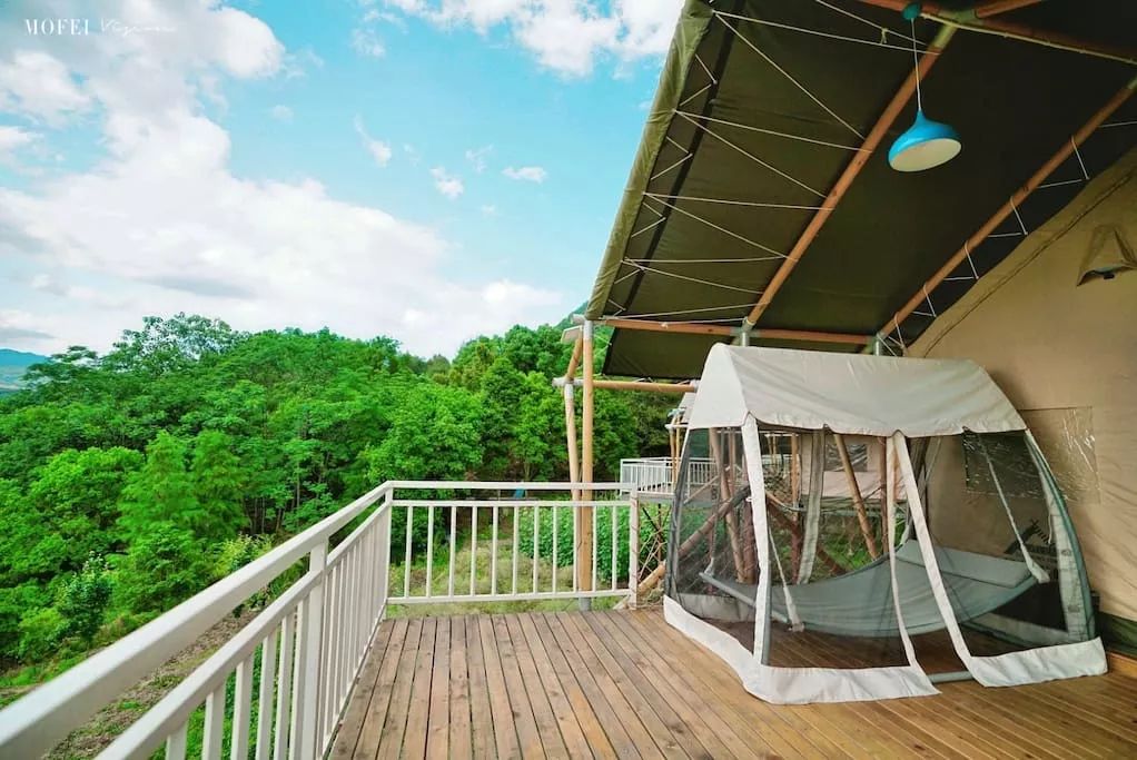 泰顺最好的民宿在哪里,温州泰顺最美民宿